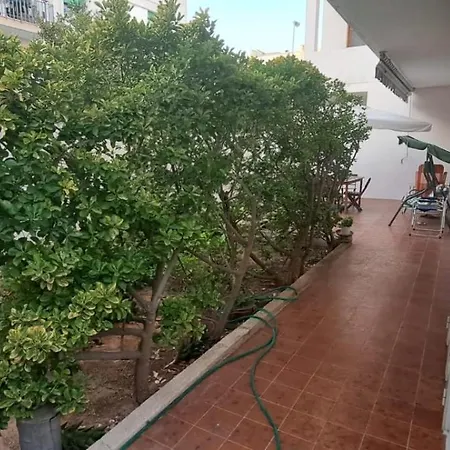 Apartment Luxury Living Robinie